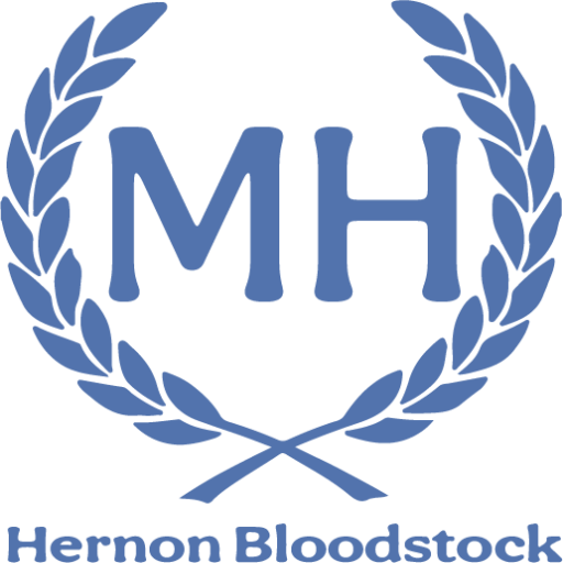 Hernon Bloodstock